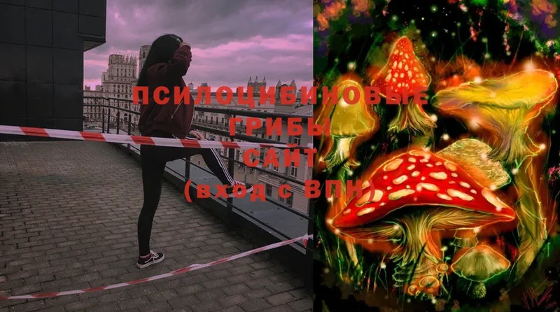 Галлюциногенные грибы MAGIC MUSHROOMS  МЕГА ссылки  darknet какой сайт  Череповец 