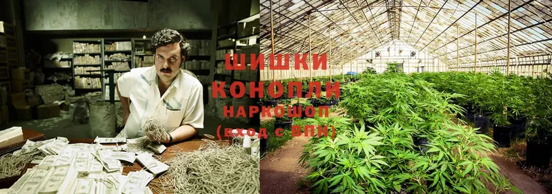 Конопля OG Kush  Череповец 